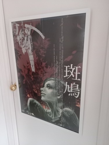 Poster promozionale ikaruga - poster,